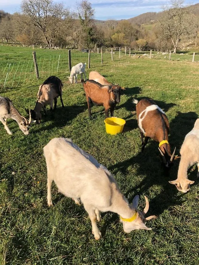 Chambre familiale à la ferme Montesquieu-Avantes